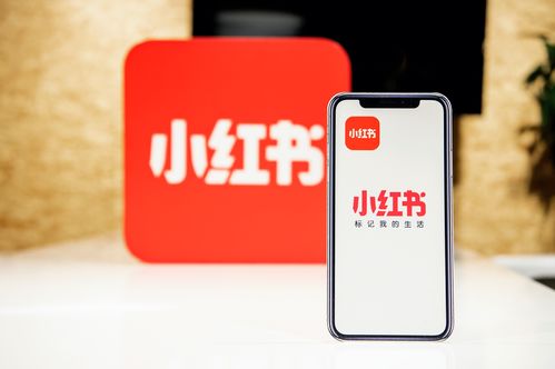 小紅書創(chuàng)作者中心上線，為優(yōu)質(zhì)創(chuàng)作者帶來專業(yè)成長新機遇